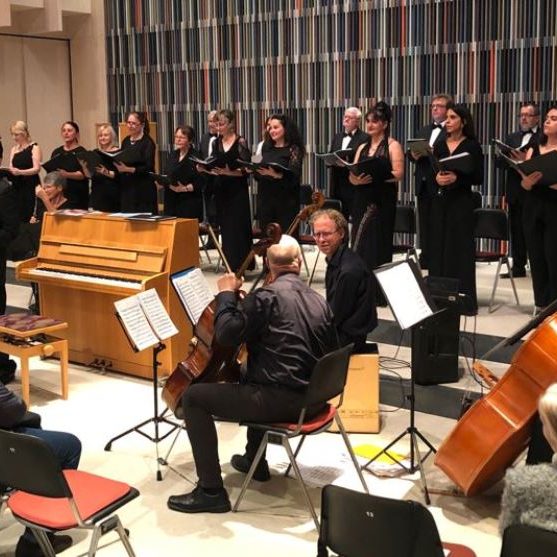 turkish-chamber-orchestra-2